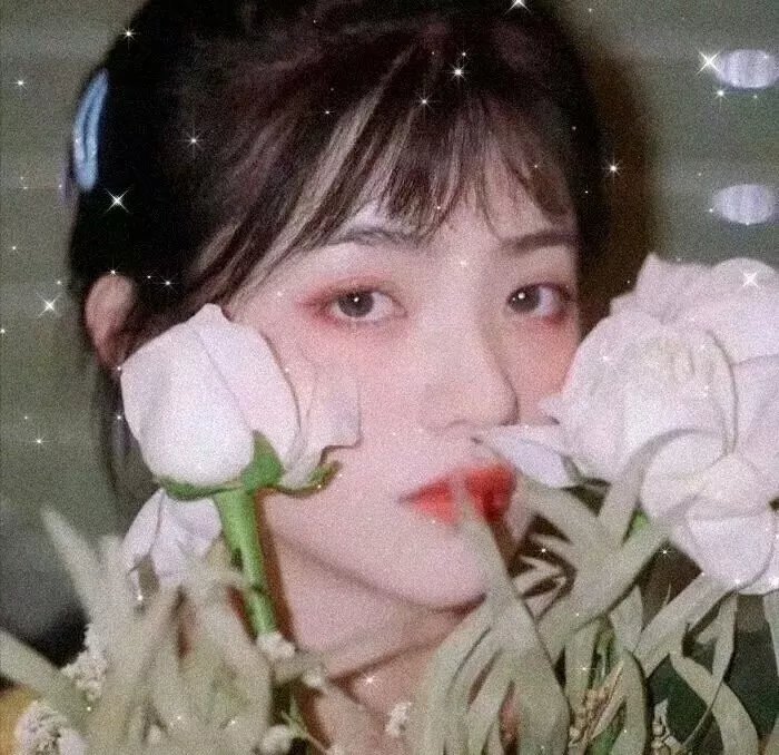 美人谋